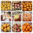 거방철물공구 | 카톡 단톡방 과일공구, 솔직 후기… 과일 상태 이 정도였어?