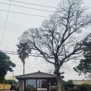 광령보건진료소 이미지