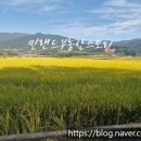 안성면010 이미지