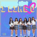 아리아즈 이미지