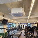 라인업휘트니스(영동점) | 성수동 헬스장에서 운동 불타오르고 있어요~