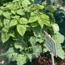 덕수농장 이미지