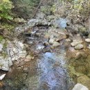 단양365할인마트 이미지