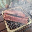 일회용 숯불 미트로