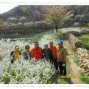 학산서원터 이미지