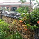 자연을 닮은 소박한 집 이미지