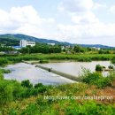 경안천 초부리 이미지