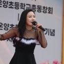 온양초등학교 Daum카페