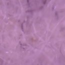 에스케이뷰 세탁 이미지