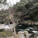 골든빌리지펜션 이미지