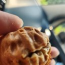 카페광령올레17