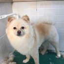 BOB영등포점 이미지