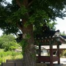 주정농장 이미지