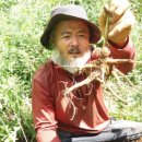 숲속의보아펜션 이미지