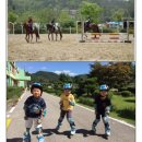 도곡중앙초등학교 이미지