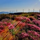 의령휴게소 이미지