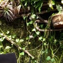 로지 아울렛 이미지