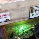 재리쥬 작은동물원 | (천안병천동물원) 재리쥬 후기
