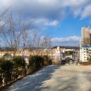 행정사사무소 손길 이미지