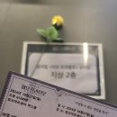 미오 컴퍼니 | 뮤지컬 미오 프라텔로 총막공 후기 :: 이승현 안창용 정민 | 241027 밤공