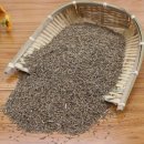 시드씨(주) 이미지