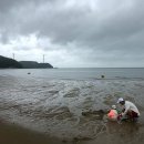 서해바다 이미지