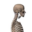 신쌤 피트니스 이미지