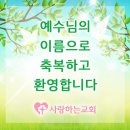 감일순환로 Daum카페
