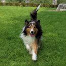 우다다(WOODADA) 이미지