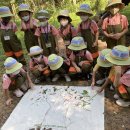 소새울어린이집 이미지