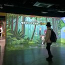 용산-409 Daum카페