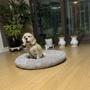 오늘 인나가지고 편집 좀 해보갰습니다! 이미지