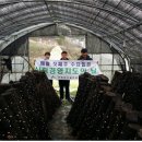 이영길농장 이미지