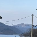 하금식당 이미지