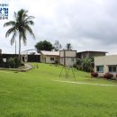 에이스필 이미지