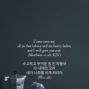 (주)엄마사랑 네이버블로그