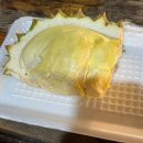 스테이50100 | 아이랑 치앙마이 여행_ 4일차 : 조식, 엘리핀팜&amp;싸이프레스레인&amp;몬쨈 투어, 깔래야시장, 로컬발마사지