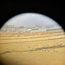 백화쉼터 | 🕊️ [창원 탐조]주남저수지 재두루미 탐조 후기 -아이랑 가볼만한곳, 가족 생태교육 및 가족탐조