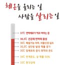 36.5체온다이어트 이미지