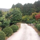 석전농장 이미지