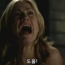 대삼박이 이미지