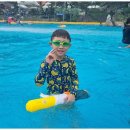 강철 태권도 이미지