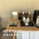 대전 여행 감성숙소 추천 풀빌라 포레스트 오안 내돈내산