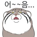 에꼬또 이미지