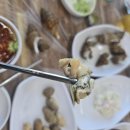 포항싱싱 | 울산 동구 방어진 포항횟집 솔직 후기｜싱싱한 회, 시원한 물회