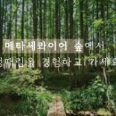 토레스트 이미지