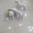 이가을헤어샵