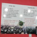 해수욕장식당
