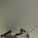 광천민박 | 호도 광천민박 예약&amp;이용후기