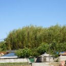 이반성면-1 이미지